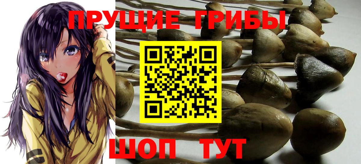 Галлюциногенные грибы Magic Shrooms  Вход с VPN  где можно купить   Псилоцибиновые грибы ЛСД  Новотроицк 